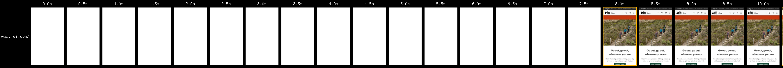 Timeline showing the loading process of rei.com. The page doesn't render anything until 8 seconds.